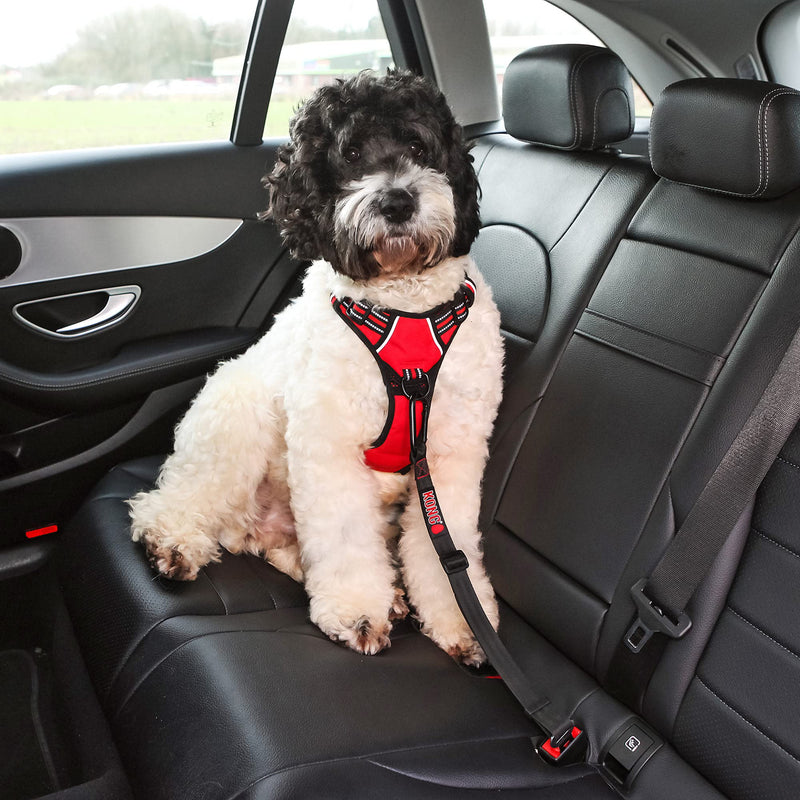 KONG Extendable Dog Car Seat Belt Tether .22 LB - PawsPlanet Australia