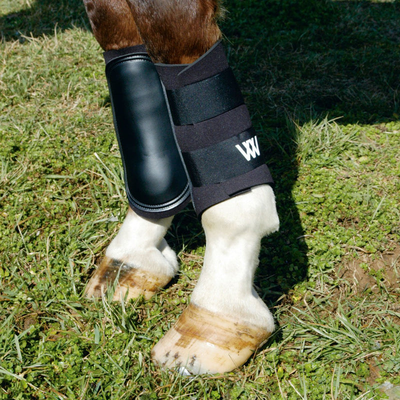 [Australia] - WOOF WEAR Sport Brushing Boots Black Medium 