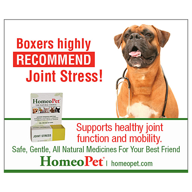 HomeoPet JOINT STRESS - 100% Natural Pet Medicine. Healthy joint function and mobility. Joint stiffness, overexertion and muscle tension. Pets of all ages. 15ml/up to 90 doses per bottle 1 white - PawsPlanet Australia