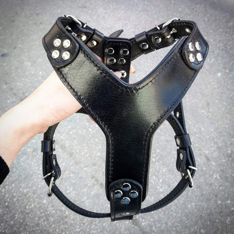 [Australia] - Bestia ''Style'' Leather Dog Harness. Black. 100% Leather. Handmade L/XL- for chest sizes of 23.6 - 45.3 inch 