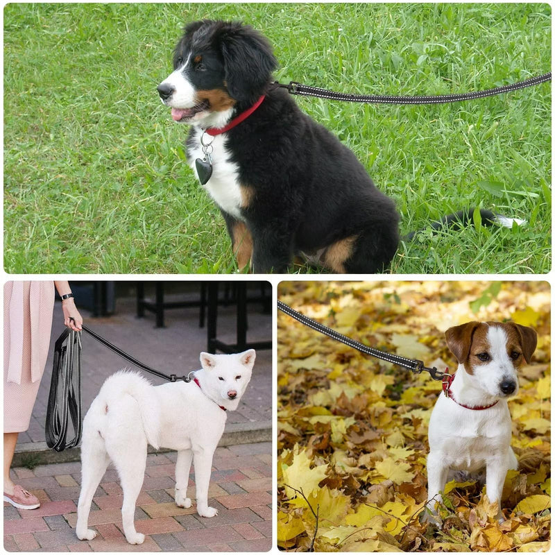 COMSLE drag leash for dogs, 3 m / 5 m / 10 m / 15 m / 20 m, robust long dog leash, reflective training leash with padded handle and hand strap, training leash for small to large dogs - PawsPlanet Australia