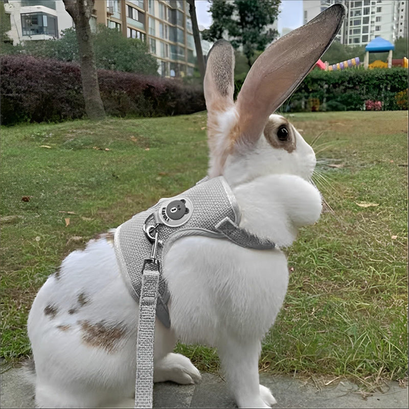 Pack of 2 Rabbit Leash, Gray & Beige Rabbit Harness, Elastic Adjustable Rabbit Leash, Rabbit Harness with Leash for 1-3 Pounds Small Animals, Rabbit Accessories - PawsPlanet Australia