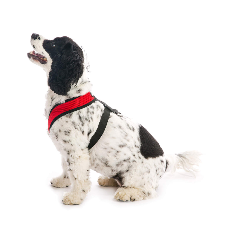 [Australia] - Gooby - Comfort X Head-in Harness, Small Dog Harness with Patented Choke Free X Frame X-Large (20-30 lbs) Red 