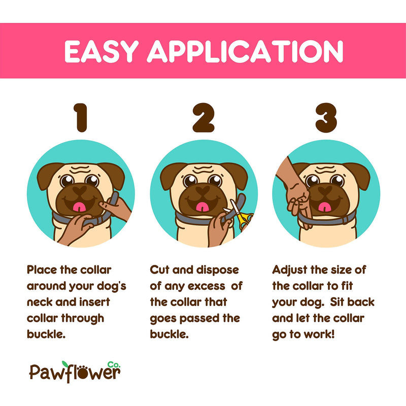 Pawflower Co. Flea and Tick Collar for Dogs - Natural Flea Collar for Dogs Small, Medium, Large Dogs - 2 Pack Dog Flea Collars with Comb and Removal Tools - Hypoallergenic - 1 Year Protection - PawsPlanet Australia