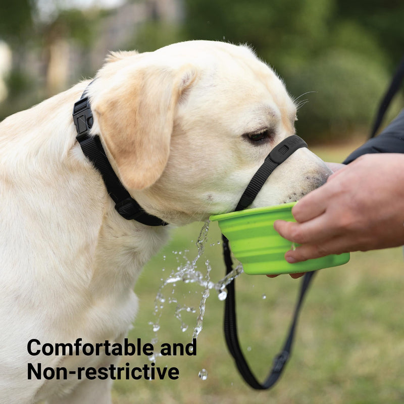 SVD.PET No-Pull Dog Headcollar for Easier Walks, Chew-Proof Protector to Increase Comfort, Simple Design, Easy to Wear and Adjust (Medium Size for Small and Medium Size Dogs) M: Upper Neck 12 - 20 inch Black - PawsPlanet Australia