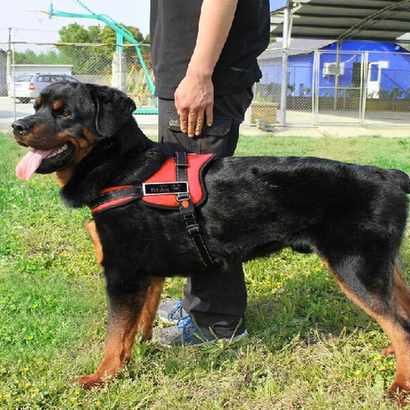 Gankarii No-Pull Padded Adjustable Dog Training Walking Harness Vest, Red, Small - PawsPlanet Australia