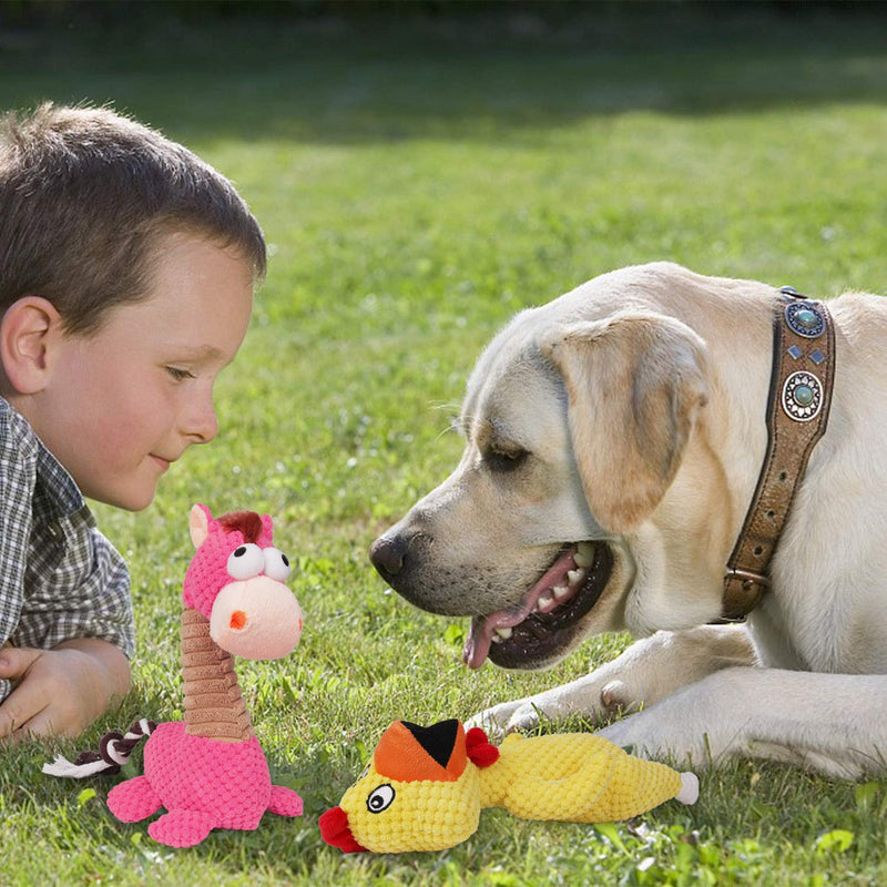 Squeaky Dog Toys Set for Dogs, Dog Tug Toys Pack Chew Teething Toys Set - Pet Toys for Medium Large Dog Breeds - PawsPlanet Australia