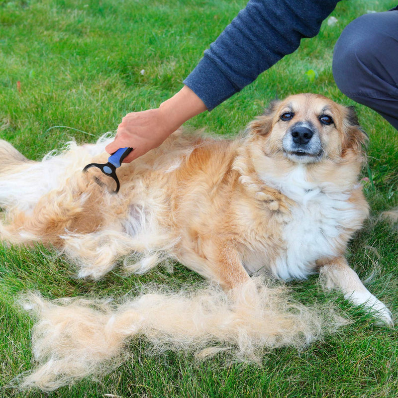 ANYPET Grooming Brush - Double Sided, Extra Wide Shedding and Dematting Undercoat Rake Comb for Dogs and Cats, Rabbits, Best On Long and Medium Fur/Hair Dogs Blue - PawsPlanet Australia