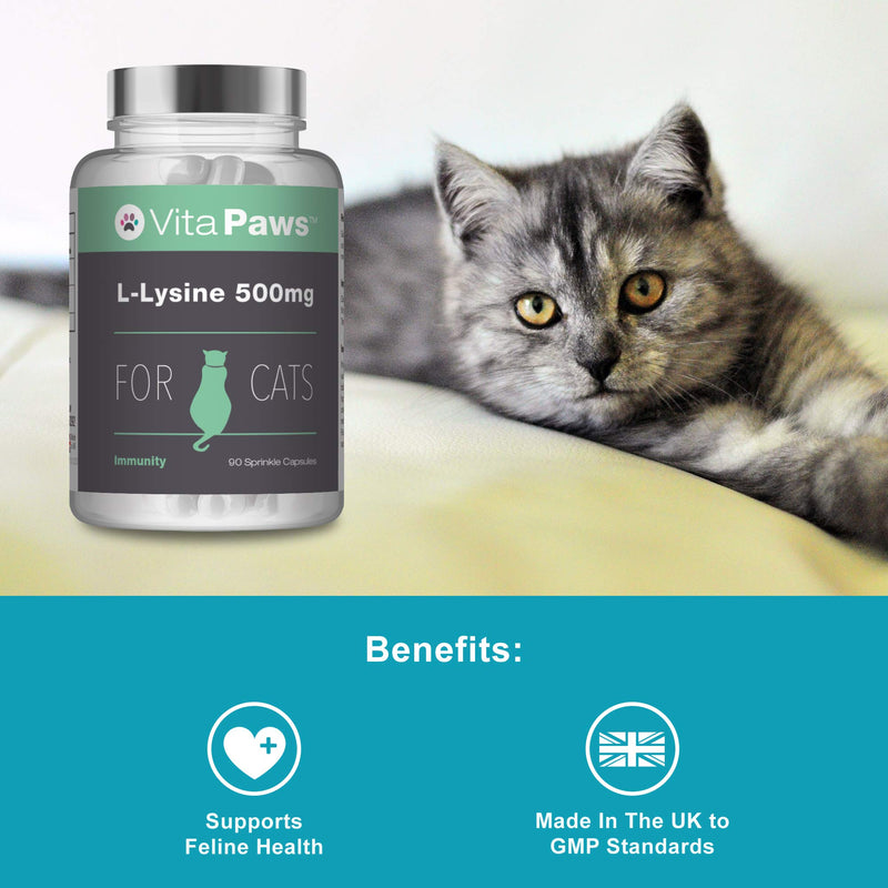 L-Lysine 500mg for Cats by VitaPaws™ | 90 Sprinkle Capsules | Popularly Chosen for Feline Immunity | 100% Money Back Guarantee | Manufactured in The UK - PawsPlanet Australia
