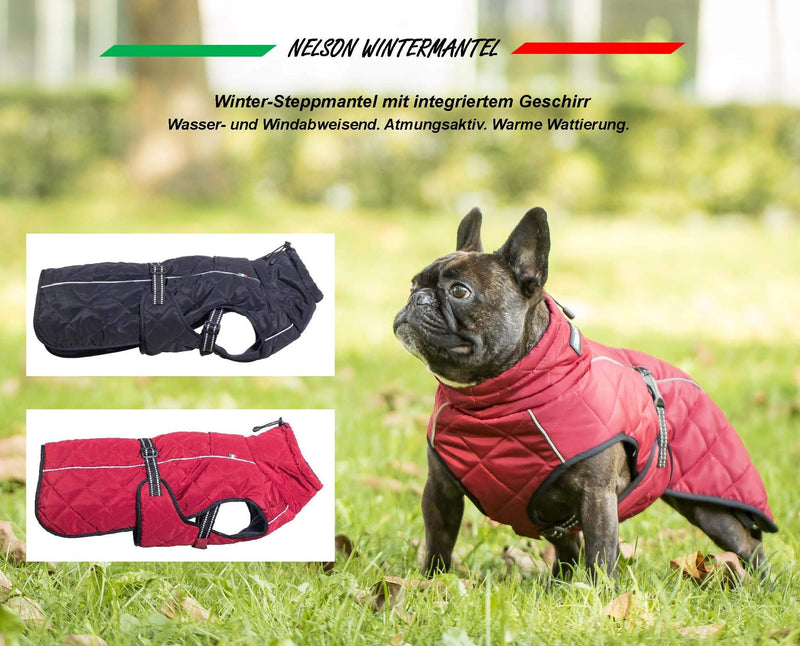 CHIARA Nelson Winter Coat for Dogs, One Size - PawsPlanet Australia