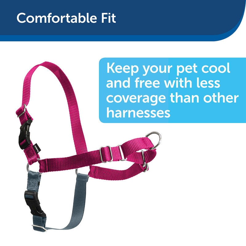 PetSafe Easy Walk Dog Harness, No Pull Dog Harness – Perfect for Leash & Harness Training – Stops Pets from Pulling and Choking on Walks – Works with Small, Medium and Large Dogs Apple Green/Gray - PawsPlanet Australia