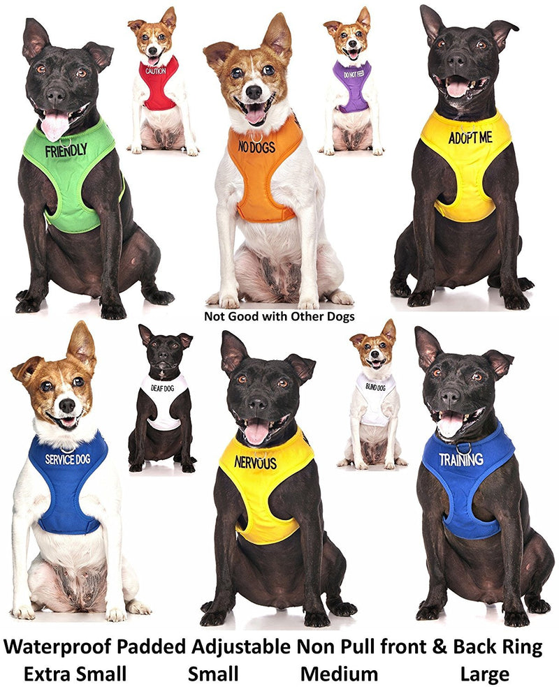 [Australia] - CAUTION Dexil Friendly Dog Collars Color Coded Dog Accident Prevention Leash 4ft/1.2m Prevents Dog Accidents By Letting Others Know Your Dog In Advance Award Winning 