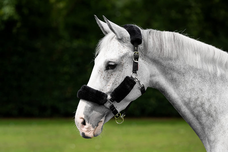 LeMieux Comfort Headcollar for Horses - Soft Fleece Lining - Adjustable & Durable Full Black - PawsPlanet Australia