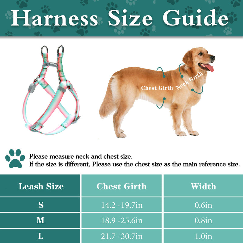 keezeg Dog Harness, Basic Halter Vest Harness, Adjustable Soft Strap Harness-S-GD FR Rainbow-Blue S - PawsPlanet Australia