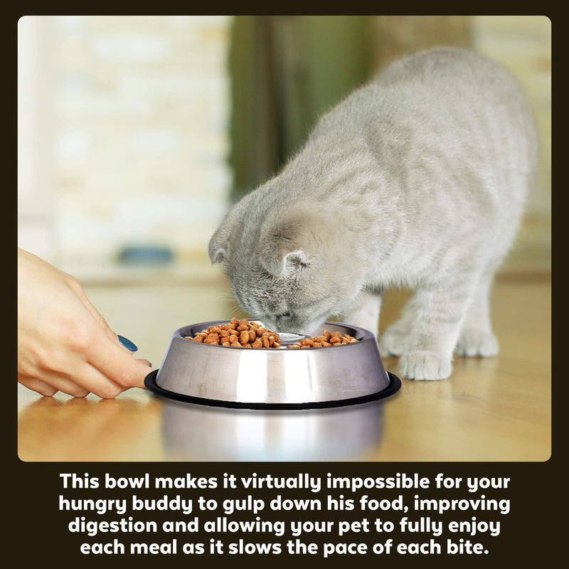 [Australia] - Iconic Pet Slow Feeding Stainless Steel Bowl with Anti-Skid Rubber Ring in Varying Sizes, Noise Free Stable Pet Feeding Bowl for Dogs/Cats Reduces Chocking and Over Eating Habit for Better Digestion Medium 