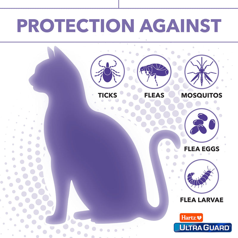 Hartz UltraGuard Plus Flea & Tick Collar for Cats and Kittens, 7 Month Flea and Tick Prevention and Protection, White, 2 Count - PawsPlanet Australia
