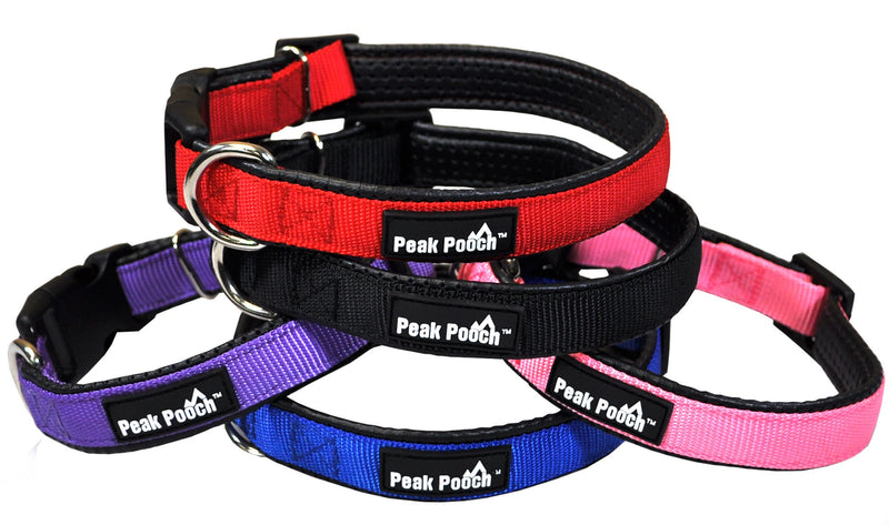 [Australia] - Downtown Pet Supply Plastic Quick Release Dog and Puppy Collar (Blue, Large) 