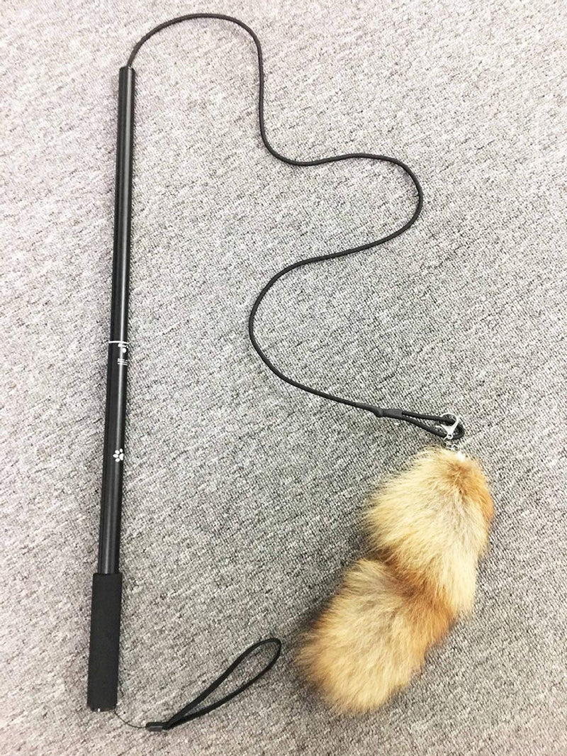 [Australia] - GoodsBeauty Interactive Cat Toy - Extendable Teaser Pole with Detachable Downy Toy for Cats Kitten Indoor Outdoor Entertainment, Train and Exercise silver 