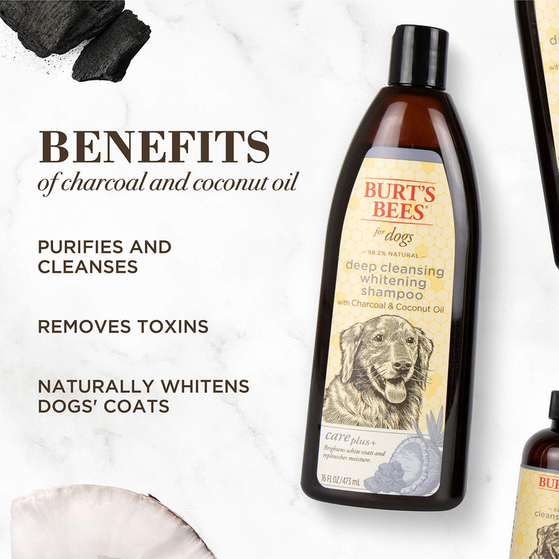 Burt's Bees Care Plus+ Charcoal & Coconut Oil Whitening Shampoo for Dogs | Cleanses & Whitens Pet's Coat | 16 oz - PawsPlanet Australia