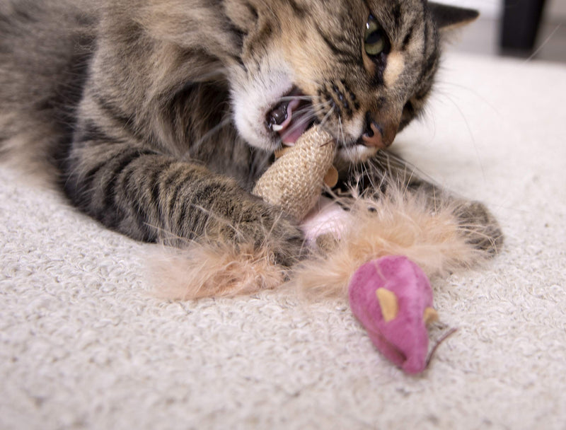 [Australia] - Petlinks Cat Toys with Feathers 