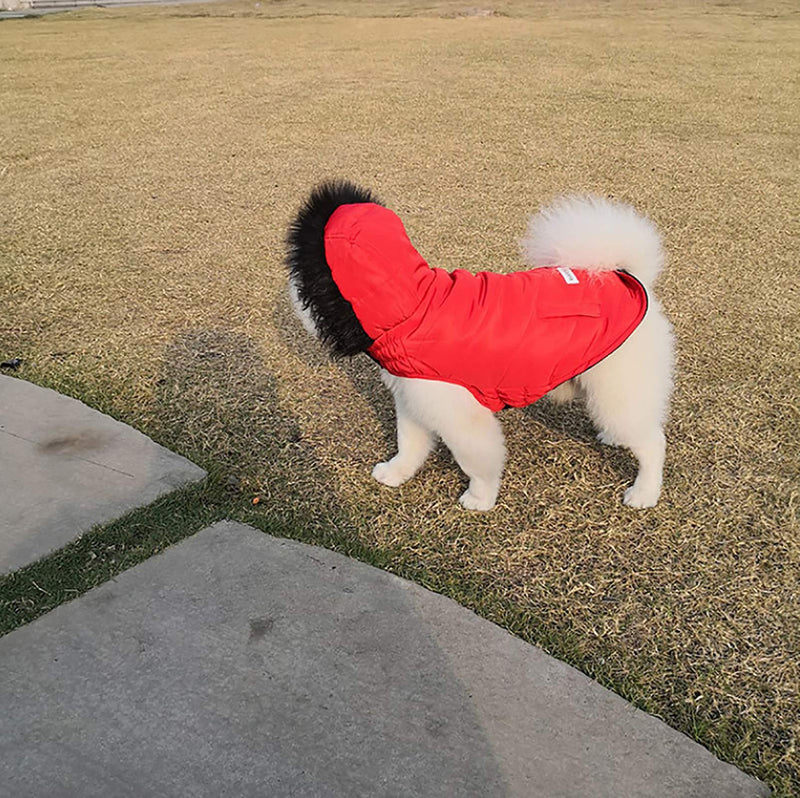 Ctomche Dog Jacket(Warm Fleece+Cotton Lining Dog Hoodie in Winter),Medium Dogs Jacket,Warm Winter Coat for Dogs,Windproof Snowproof Winter Vest Clothes for Small and Medium Dogs Medium (Length: 32CM) Red - PawsPlanet Australia