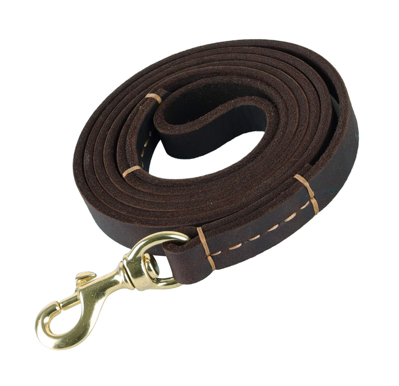 [Australia] - kgt Leather Dog Strong Leashes for Larger Dog Training Leather Walking Leash Heavy Duty Leather Dog Leash L6 Ft-W4/5 in 