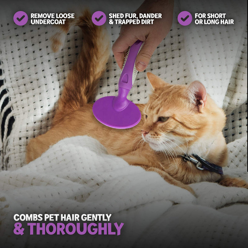 Round Bristle Pet Brush for Dogs and Cats - Gentle Grooming for Short or Long Hair - Soft Tool for Sensitive Skin Removes Dander, Dirt, and Detangles - Purple - PawsPlanet Australia