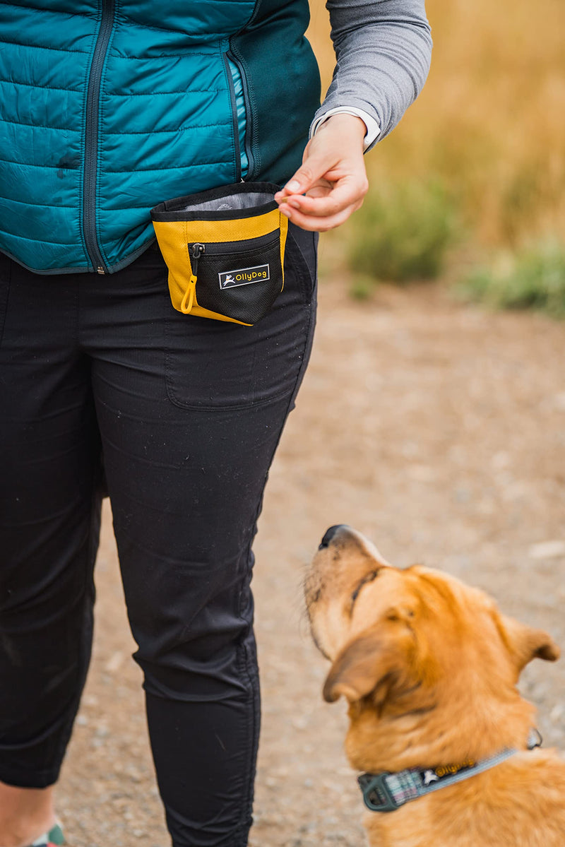 OllyDog Goodie Treat Bag, Dog Treat Pouch, Waist Belt Clip for Hands-Free Training, Lightweight Easy to Wear Pouch, Magnetic Closure, Dog Accessories, Travel Dog Treat Container Air Blue - PawsPlanet Australia