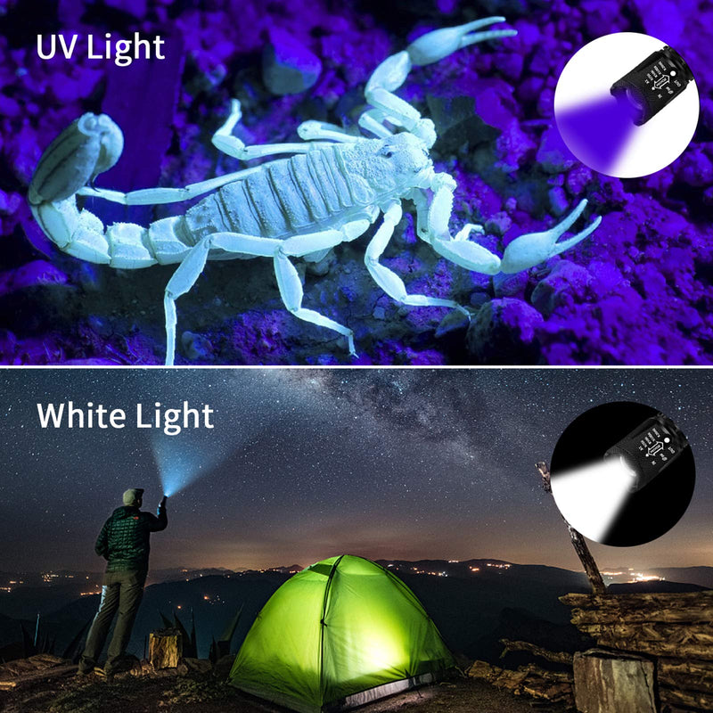 [Australia] - UV Flashlight with Batteries 2 Pack, 2 in 1 Black Light & Tactical Light Flashlight Mini Blacklight Urine Detector for Cats, Pet Stains, Bed Bugs, Scorpions 