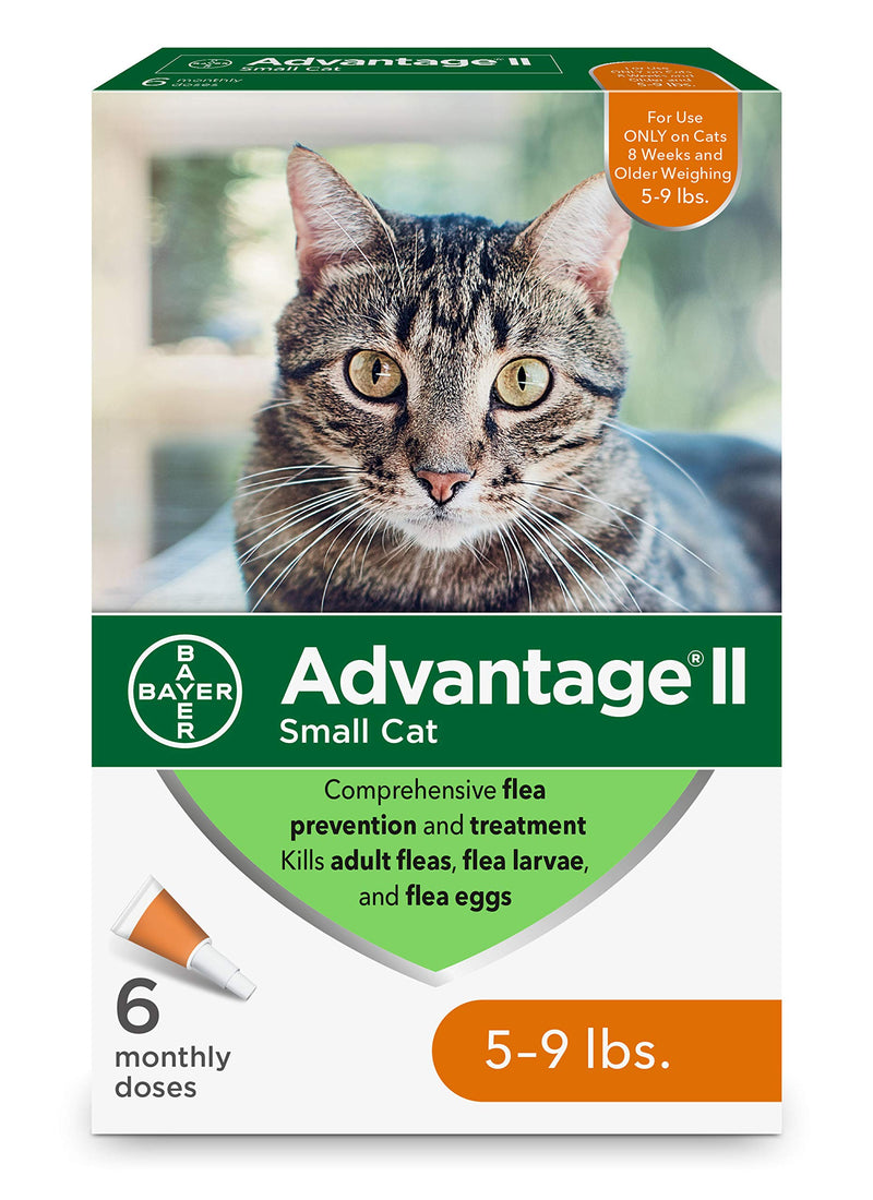 Advantage II Flea Prevention for Small Cats, 6-Dose Small Cat Flea Prevention, 5-9 Pounds (Package may vary) - PawsPlanet Australia