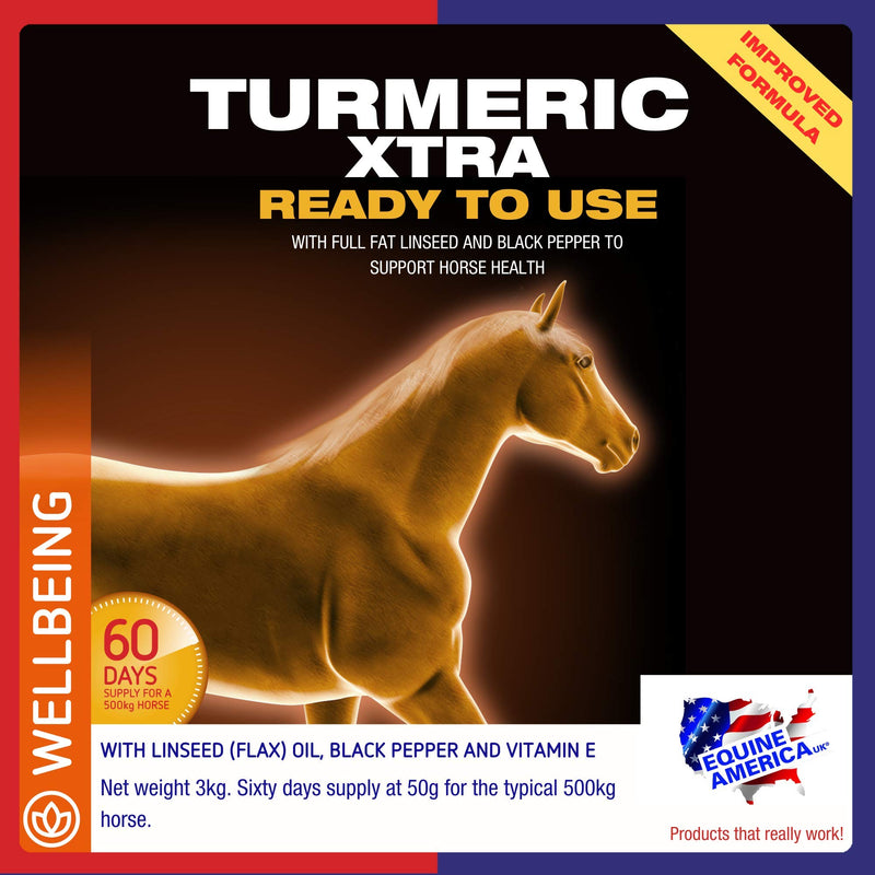 Equine America Turmeric Xtra | Premium Ready To Use Horse & Pony Supplement | Support For Joints & Mobility | 3 Kg - PawsPlanet Australia