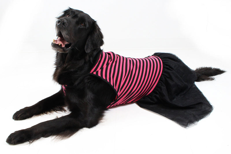 [Australia] - Midlee Pink & Black Stripe Tutu Large Dog Dress XXX-Large 