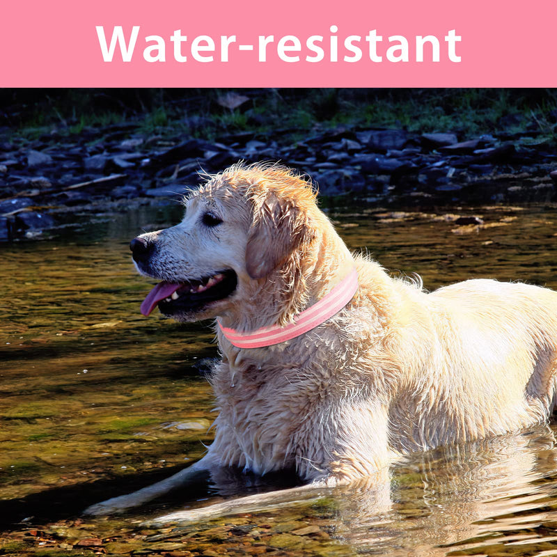 PcEoTllar Dog Collar Luminous Rechargeable, Luminous Collar Dog Waterproof Adjustable Flashing Light LED Collar Dog for Small Medium Large Dogs, Visibility in the Dark, Pink-L L(48-60cm/19-23.6inch) - PawsPlanet Australia