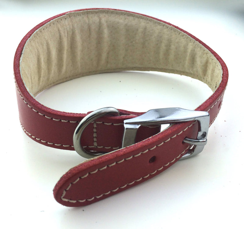 BBD Whippet Deluxe Collar, Red - PawsPlanet Australia