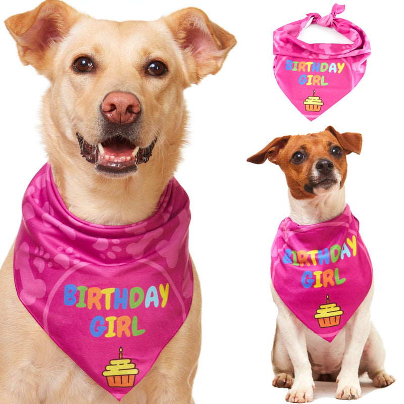 Odi Style Dog Bandana Girl for Dog Birthday - Dog Birthday Bandana for Small, Medium, Large Dogs, Bandana for Dogs Puppy Birthday Party, Happy Birthday Girl Dog Bandana, Pink - PawsPlanet Australia