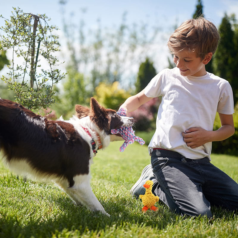 Ruisita Cotton Rope Dog Toys Natural Teeth Cleaning Chew Rope Puppy Boredom Rope Toy Dogs Ball Knot Training Toy Pet Teeth Training Toys Color Bear, Yellow Duck - PawsPlanet Australia