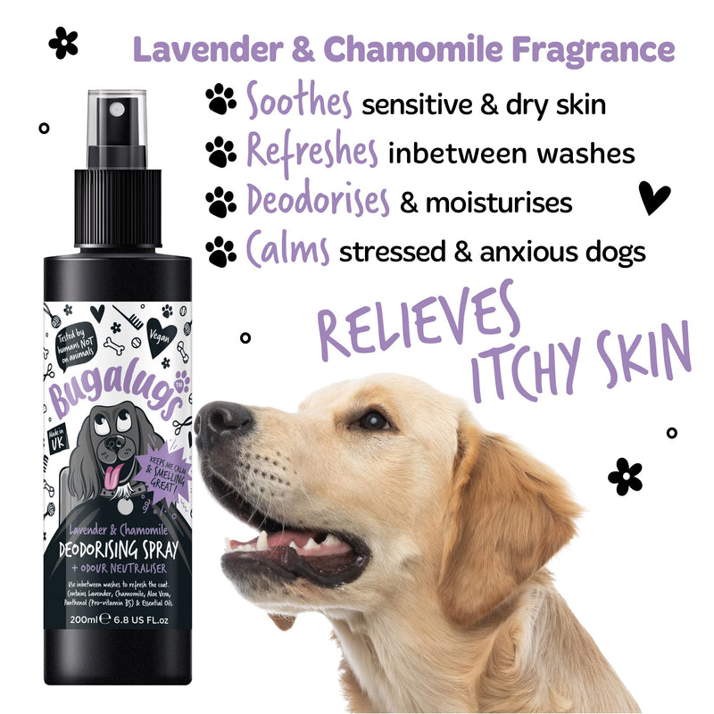 BUGALUGS Lavender & Chamomile Dog perfume dog spray with spray pump, Vegan dog cologne is a dog deodoriser spray. dog perfume spray dog deodorant use with our Dog Shampoo groom (3x 200ml) 3x 200ml - PawsPlanet Australia