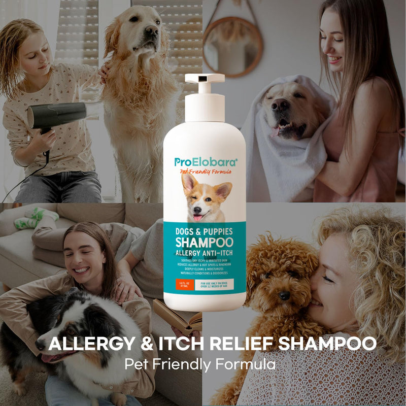 ProElobara Dog Shampoo Allergy Itch: Effective Deodorizing Dog Shampoo for Smelly Dogs Anti Itch Shampoo - Soothes Dry Itchy Irritated Skin Reduces Hot Spots Helps Shedding 16.9fl.oz/500ml - PawsPlanet Australia