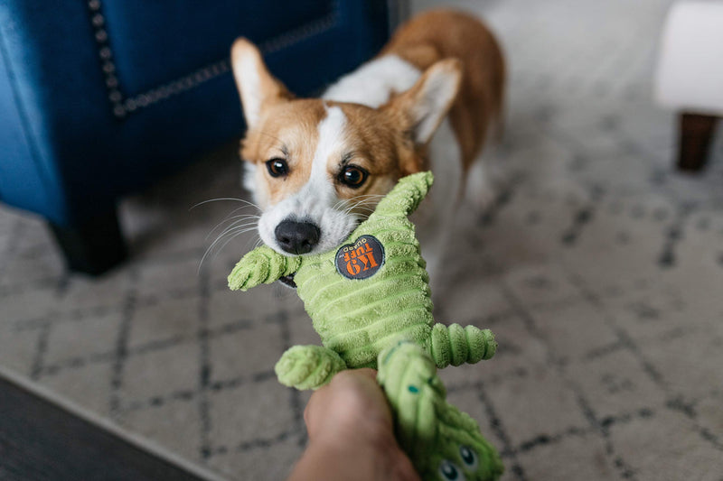 [Australia] - Charming Pet Squeakin’ Squiggles Squeaky Plush Dog Toy Lion 