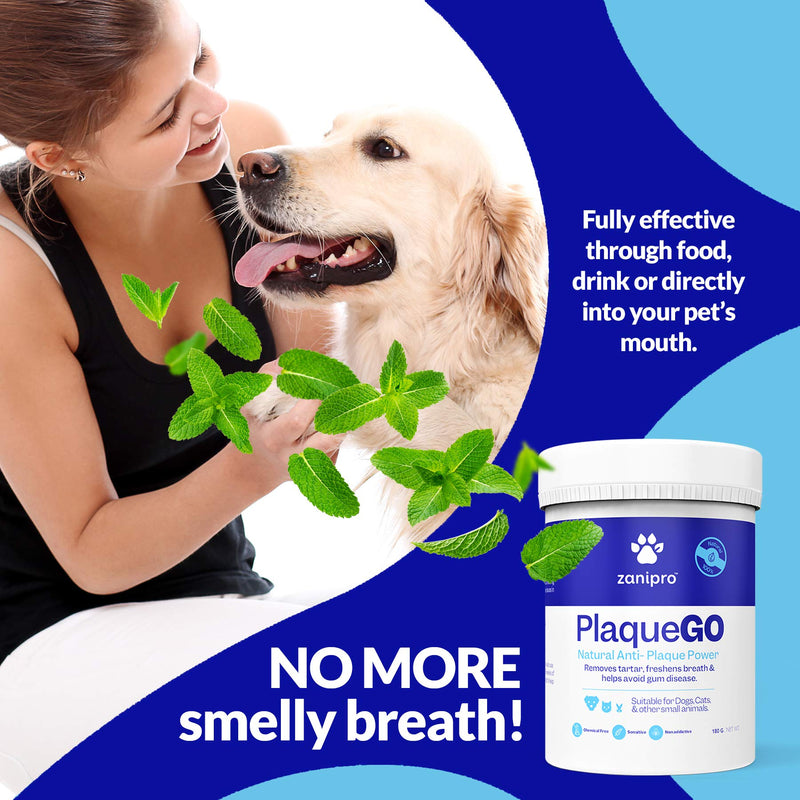 Zanipro Anti Plaque Powder - For Dogs and Cats and Pets - Natural Plaque Off - Freshens Breath - Digestive System Safe - Prevents Plaque and Tartar Build Up - Supports Gum and Teeth Health (180g) - PawsPlanet Australia