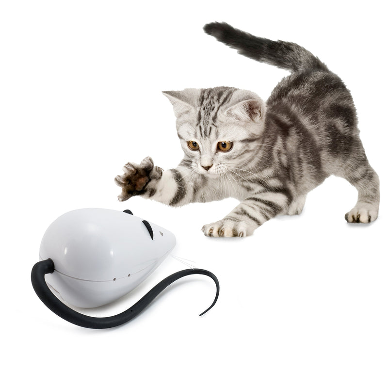 PetSafe FroliCat Interactive RoloRat Automatic Cat Teaser - PawsPlanet Australia