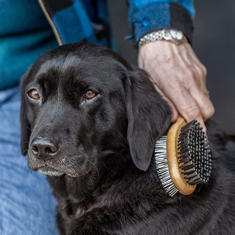 Dog Brush Grooming,Dog Brushes Double Sided Pin and Bristle Soft Cat Puppy Pet Hair Brush for Short and Long Haired - PawsPlanet Australia