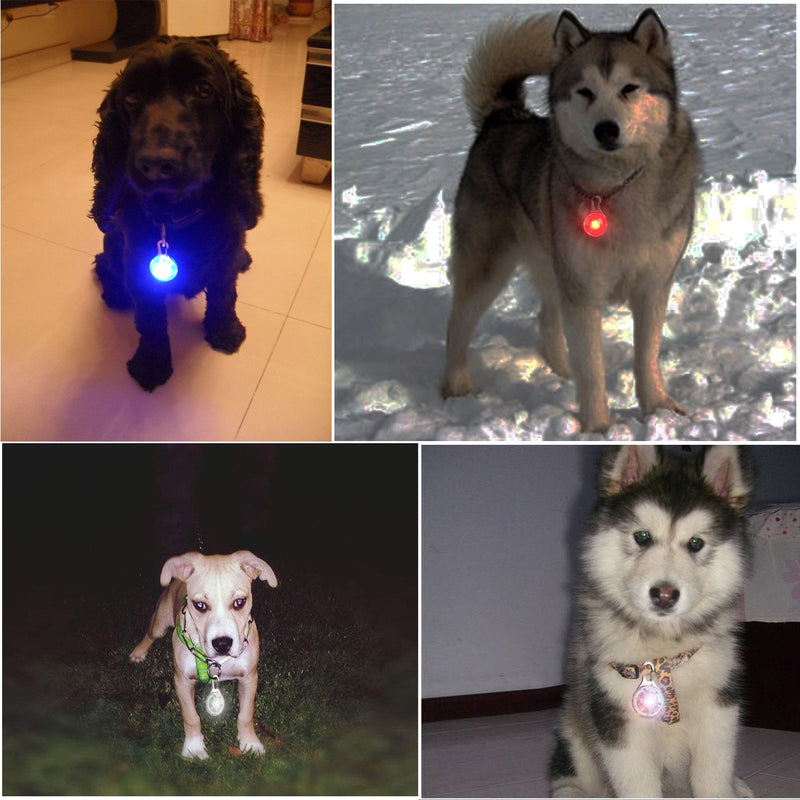 Hengu LED Dog Collar Light Clip, Waterproof Luminous LED Pendant Spotlight with 3 Flashing Modes for Pet Cats Dogs Night Dark Outdoor Walking Safety (4 Pcs, Red+Blue+White+Multicolor) - PawsPlanet Australia