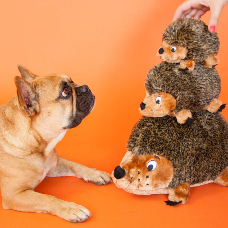 [Australia] - Outward Hound Hedgehogz Squeaky Dog Toy – Cuddly Soft Toy for Dogs - Durable Plush Fluffy Toy for Awesome Pets Large 