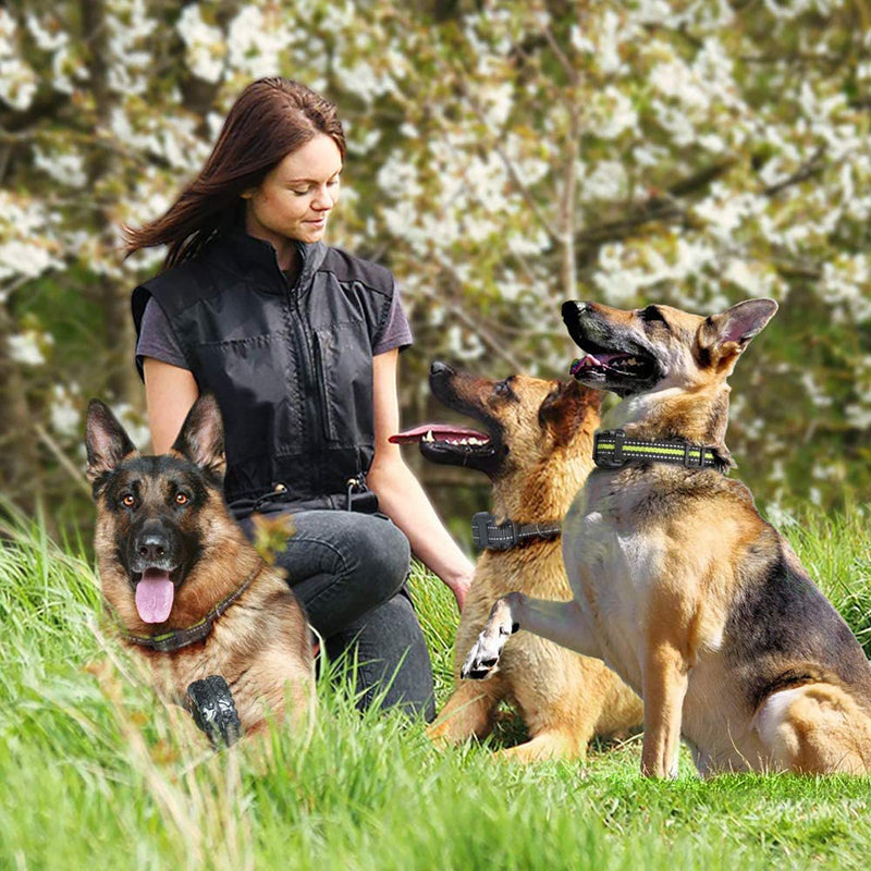 FunniPets Dog Training Collar, Dog Shock Collar 2600ft Range Waterproof Shock Collar for 2 Dogs with 4 Training Modes Black Green - PawsPlanet Australia