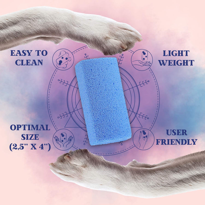 Moxler Pumice Stone Pet Hair Removal Tool for Car Seat Mat Couch Bed Carpet Rug Floor Furniture Reusable Animal Fur Remover Cat Dog Hair Cleaner 2*5 Blue - PawsPlanet Australia