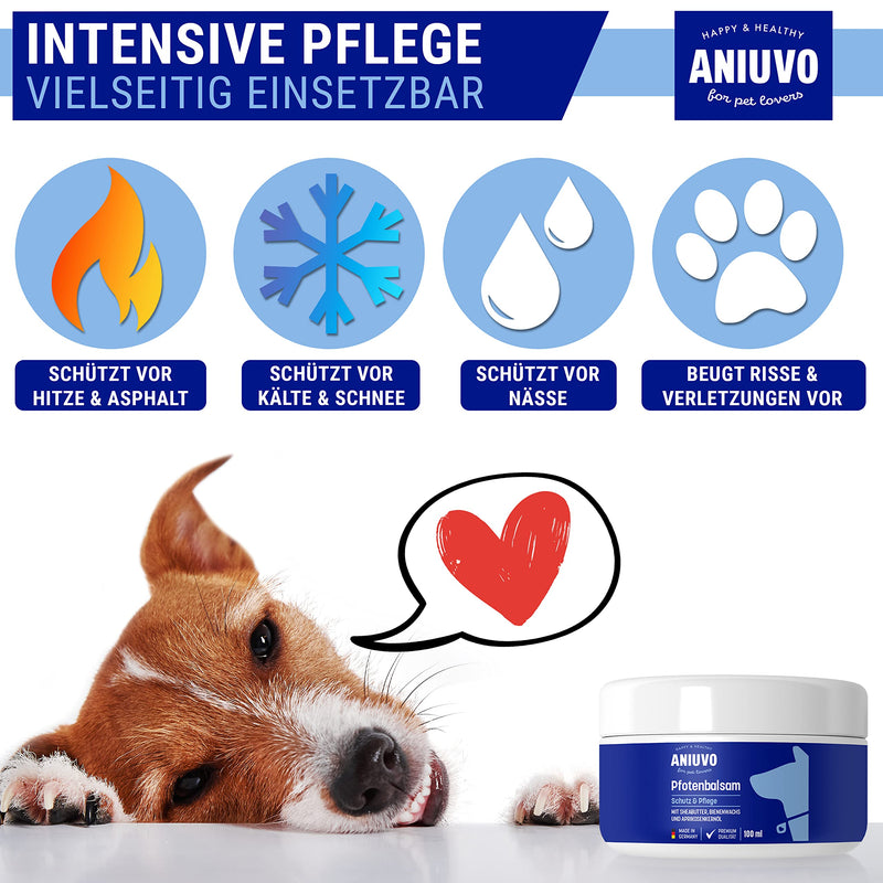 ANIUVO® Paw Balm [100ml storage pack] - Paw care for dogs against dry and sore paws - High-quality paw protection for your dog with beeswax, shea butter & apricot kernel oil 100 ml - PawsPlanet Australia