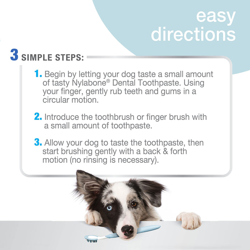 Nylabone Advanced Oral Care Dog Toothpaste Original 2.5 Ounce (1 Count) - PawsPlanet Australia