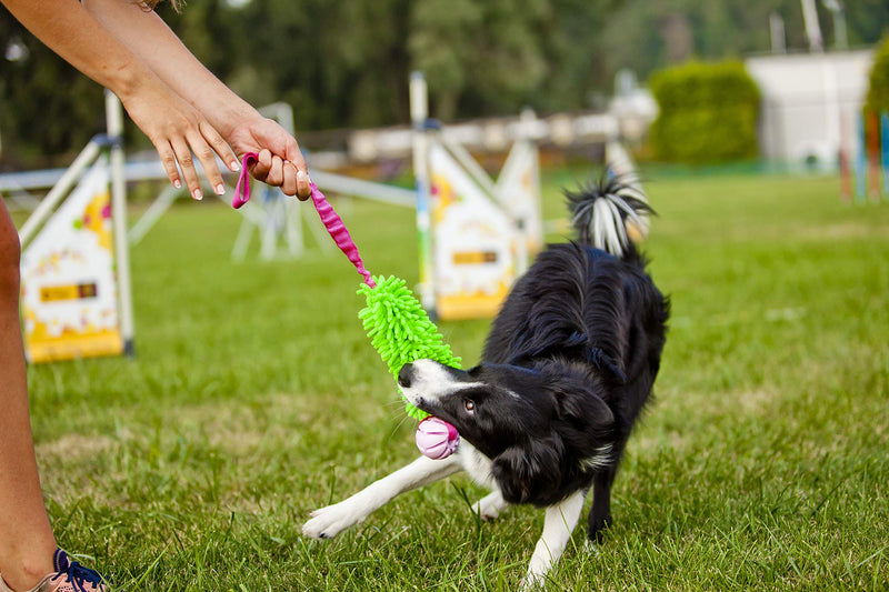 Dingo Agility Mop Bite Tug Floatable Ball Bungee Chaser Red 15588 - PawsPlanet Australia