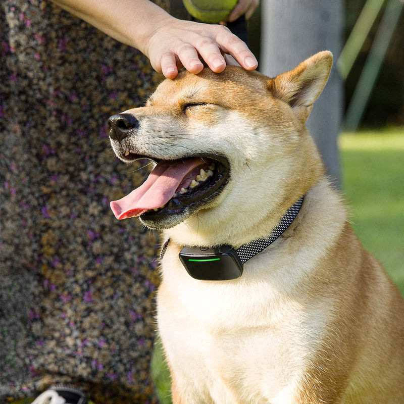 Prupet Dog Bark Collar, Rechargeable Anti Barking Training Collar with 4 Adjustable Sensitivity and Beep & Vibration & Shock 3 Modes, Automatic Bark Control Collar for Small Medium Large Dogs, Black - PawsPlanet Australia